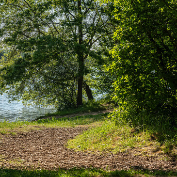 Camping-Katzenkopf-Natur